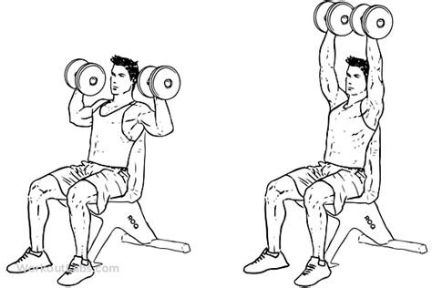 Dumbbell Overhead Shoulder Press Illustrated Exercise Guide Workoutlabs