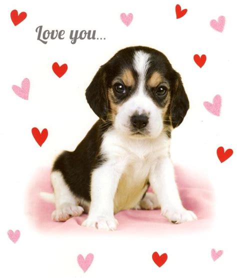 Easily personalize and send funny for him valentine's day ecards to loved ones everywhere by adding your own photo, personalizing a message, and emailing it directly to their inbox! Love You Sooo Much Card Cute Puppy Valentine's Card | Cards