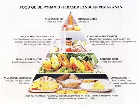 Halaman Petua Akidah Piramid Makanan Sedunia