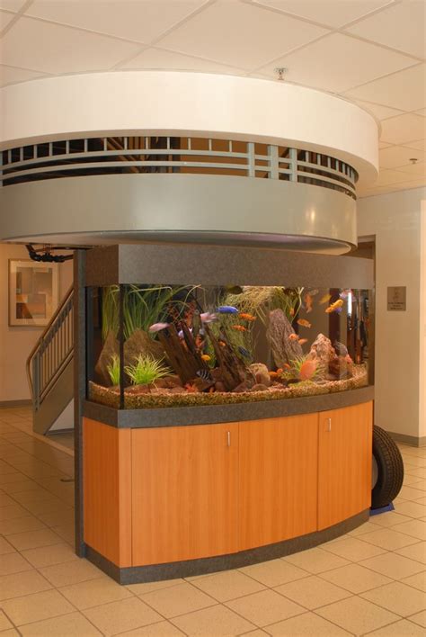 250 Gallon Bowfront Custom Fish Tanks Saltwater Fish Tanks Aquarium
