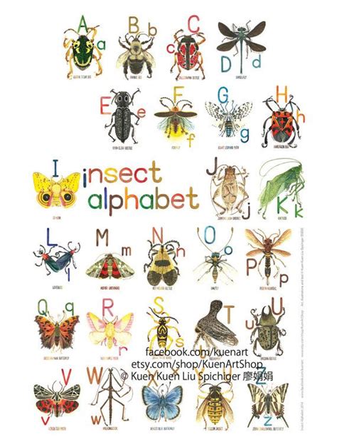 A Z Insect Alphabet Poster 8x10 Watercolor Art By Kuenartshop Alphabet