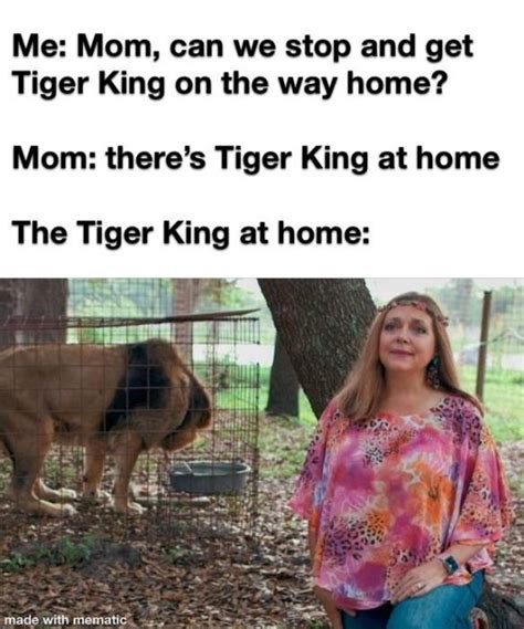 Tiger King Memes That Are Not Mething Around Funny Gallery Ebaum