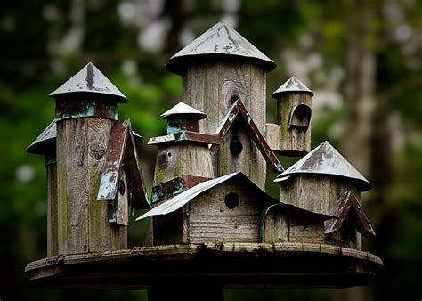 Tipos De Casas De Pájaros Hechas Con Materiales Reciclados