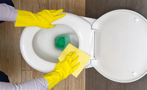 How To Clean A Yellowing Plastic Toilet Seat Velcromag