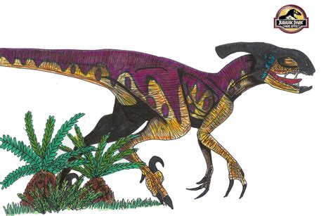 Image Jurassic Park Paradeinonychus By Hellraptor Park Pedia Jurassic Park Dinosaurs