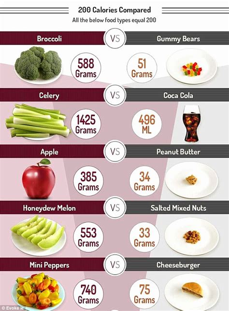 Calorie Charts For Food Example Document Template