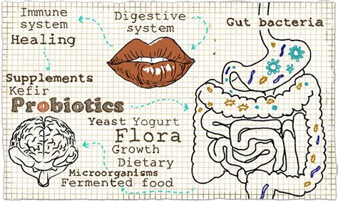The Gut Microbiome This Changes Everything