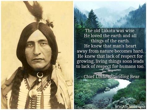 Chief Luther Standing Bear Native American Wisdom Native American