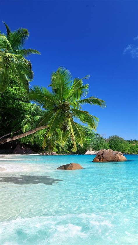 Tropical Iphone 8 Plus Beautiful Beaches Paradise Dream Vacations