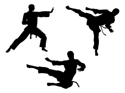 Karaté Shotokan Vector Art Stock Images Depositphotos