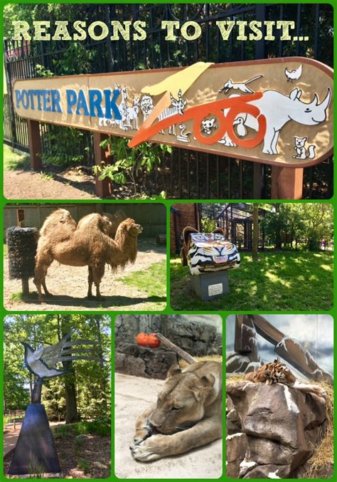 10 Reasons To Visit Potter Park Zoo In Lansing Michigan