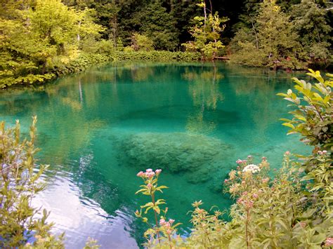 Beautiful Lakes And Water At Plitvice Lakes National Park Croatia