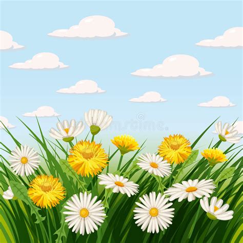Butterfly Daisies Stock Illustrations 1255 Butterfly Daisies Stock