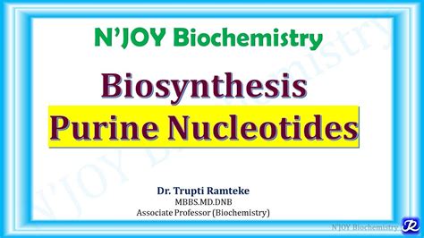 1 Purine Nucleotides De Novo Synthesis Nucleotide Metabolism