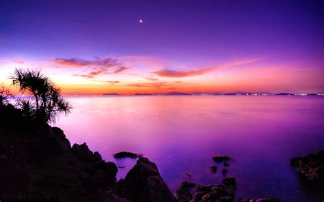 The Purple Sunset Of The Coast Purple Skies And Body Of Water Purple