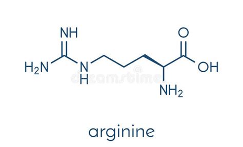 Arginine L Arginine Arg R Amino Acid Molecule 3d Rendering Stock