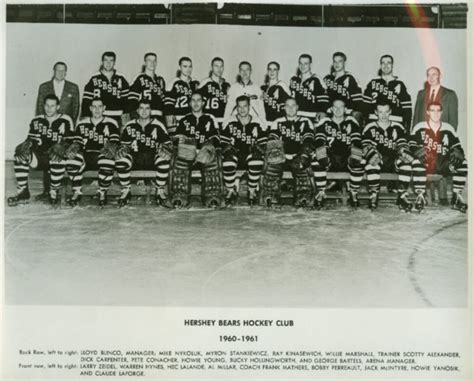 Hershey Bears 1960 American Hockey League Hockeygods