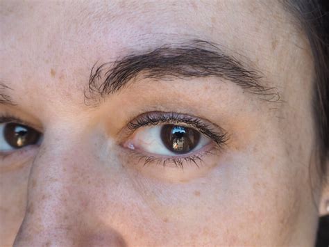 How To Grow Back Sparse Overplucked Brows Niapattenlooks