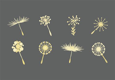 We made this file upon request. Free Dandelion Icons Vector - Download Free Vectors ...