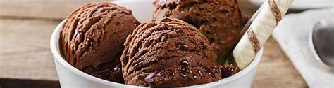 Chocolate Ice Cream Recipe How To Make Chocolate Ice Cream Milkmaid