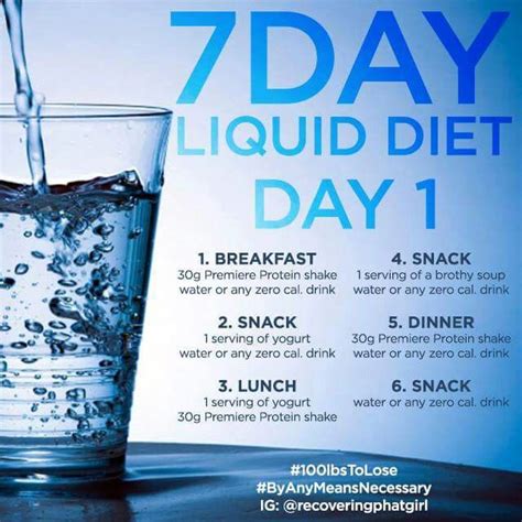 10 Day Liquid Diet Plan Cvinter