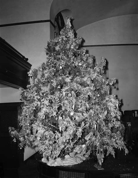 American politician who served as a federalist member of the u.s. Hemphill Presbyterian Church Christmas tree | Digital Gallery Beta