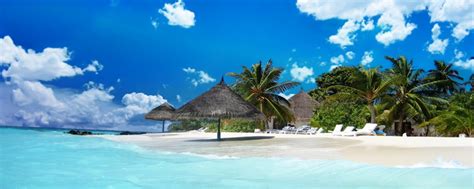 Free Download Wallpaper 2560x1024 Maldives Sand Tropical Beach Palm