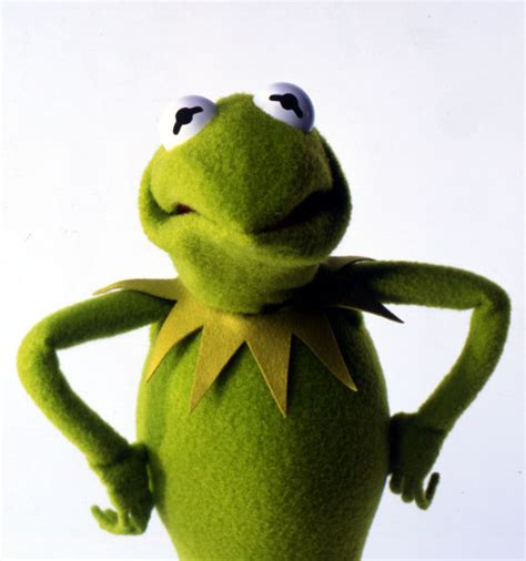 Kermit The Frogs Tweet Some Days You Just Have To Scrunch Up Your