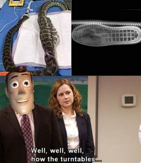 Theres A Boot In My Snake Meme Guy
