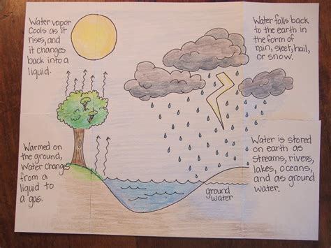 The Water Cycle Fifth Graders