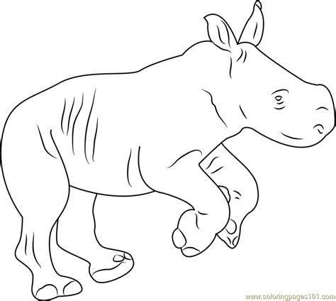 Rhino Baby Coloring Page Free Rhinoceros Coloring Pages