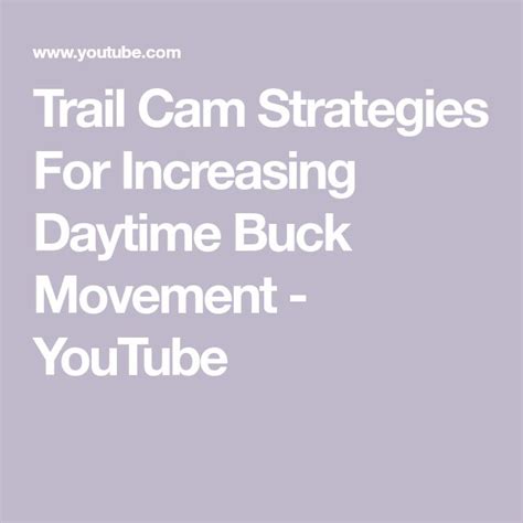 Trail Cam Strategies For Increasing Daytime Buck Movement Youtube