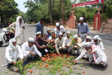 Farmers in punjab have been at the forefront of the protests against the farm reform bills passed by the centre. Here's Why Farmers Across India Have Been - and Are Still ...