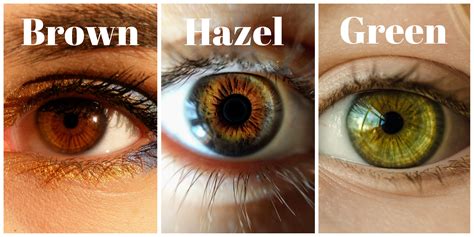Hazel eyes have less melanin than brown eyes, but more than blue eyes. What is the best hair color for hazel eyes? - Hair Adviser