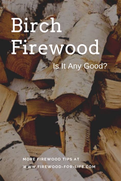 Burning Birch Firewood Firewood Birch Wood Stove