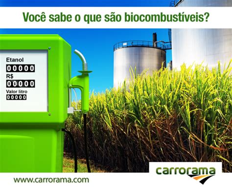 Você Sabe O Que São Biocombustíveis