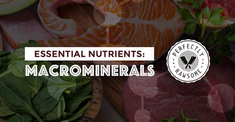 Essential Nutrients Macrominerals Perfectly Rawsome Guidance Blog