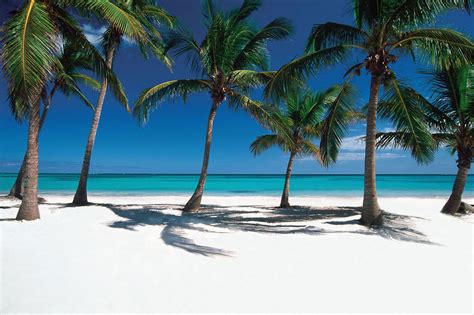 Cinco Playas Paradisíacas Y Recónditas En República Dominicana