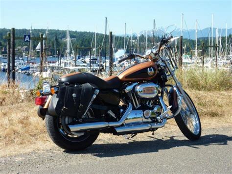 Which harley davidson is the best for you? Sportster vs Dyna Wide Glide - Harley Davidson Forums