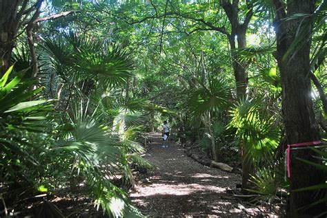 Key West Tropical Forest And Botanical Garden