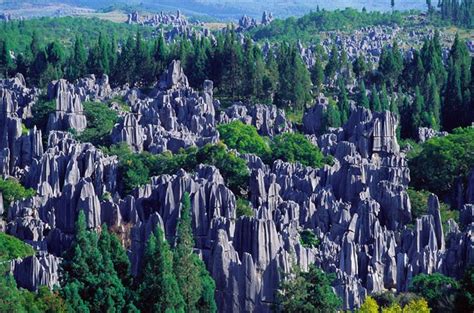 The Stone Forest Yunnan China Pretty Places Yunnan Wonders Of