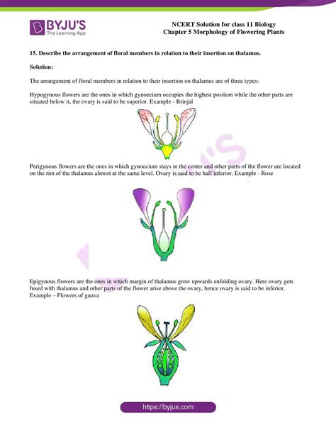 Ncert Solutions Class Chapter Morphology Of Flowering Plants