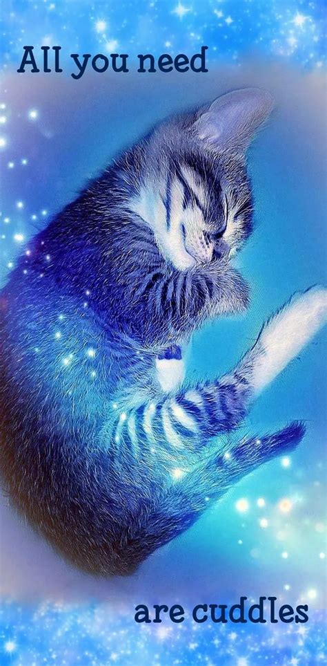 Cuddle Kitten Wallpaper By 1artfulangel Download On Zedge Fe92