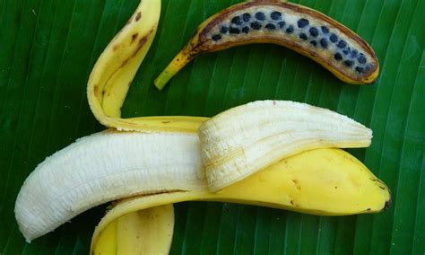 Бананите са мутанти Зелен Свят