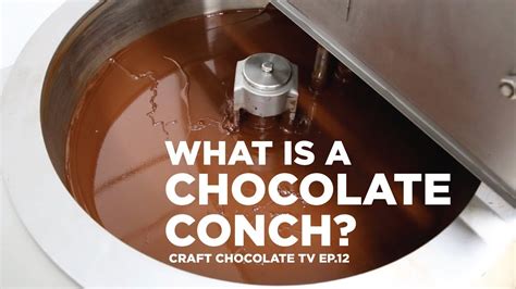 The Chocolate Conch Episode 12 Craft Chocolate Tv Youtube