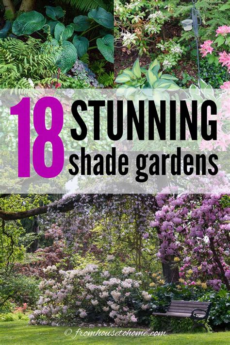 20 Garden Design Ideas For Small Shady Gardens