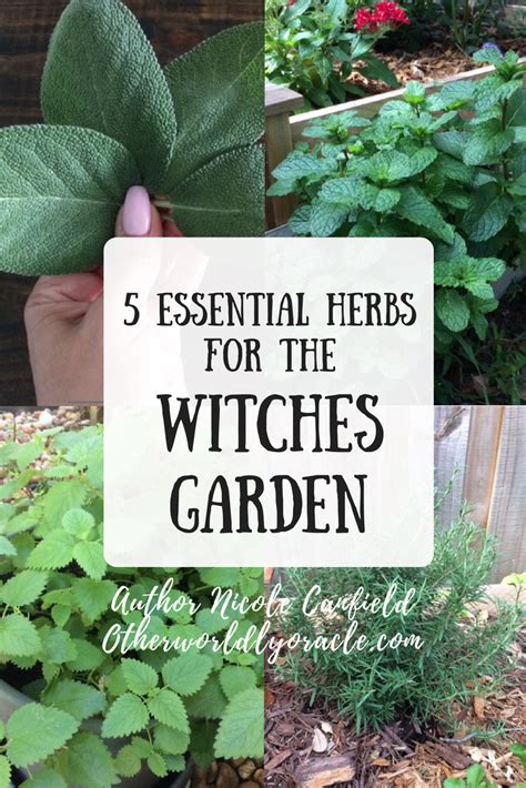 Five Essential Culinary Herbs For The Witches Garden