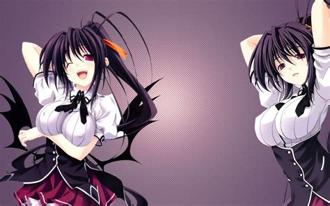 Akeno Himejima Desktop Wallpapers Wallpaper Cave