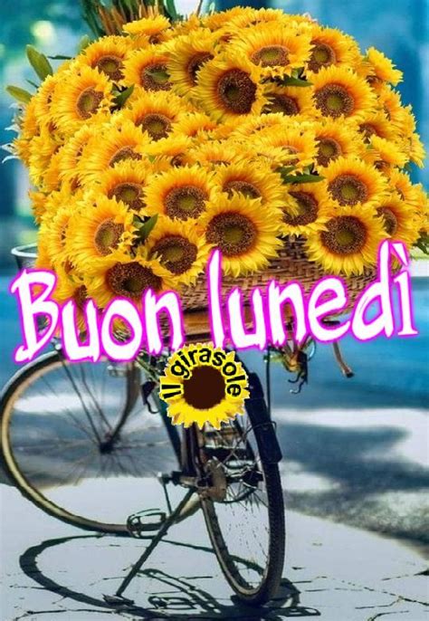 Pin Di Il Girasole Su Buongiorno Per Ogni Giorno Il Girasole