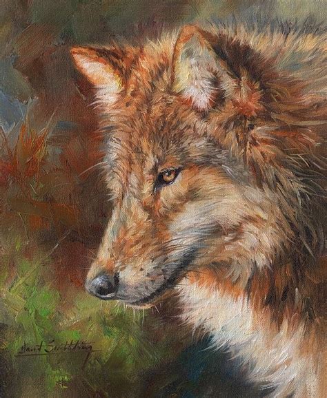 Grey Wolf Face By David Stribbling Animal Canvas Paintings Animal